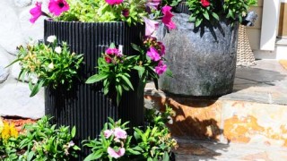 flower vertical urban gardening tower garden walls diy green foot farm
