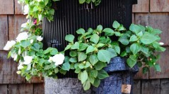 flower vertical urban gardening tower garden walls diy green foot farm