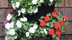 flower vertical urban gardening tower garden walls diy green foot farm