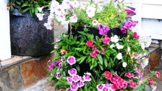 flower vertical urban gardening tower garden walls diy green foot farm