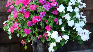 flower vertical urban gardening tower garden walls diy green foot farm