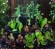 flower vertical urban gardening tower garden walls diy green foot farm