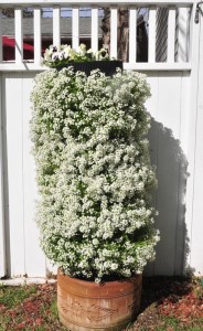 flower vertical urban gardening tower garden walls diy green foot farm