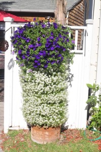 flower vertical urban gardening tower garden walls diy green foot farm