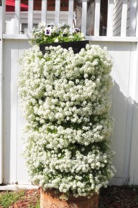 flower vertical urban gardening tower garden walls diy green foot farm