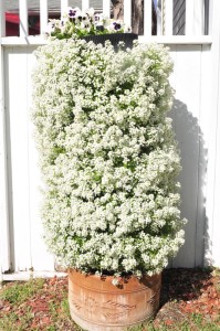 flower vertical urban gardening tower garden walls diy green foot farm