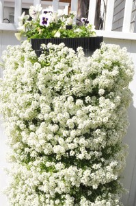 flower vertical urban gardening tower garden walls diy green foot farm