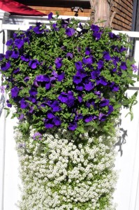 flower vertical urban gardening tower garden walls diy green foot farm