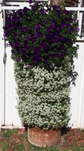 flower vertical urban gardening tower garden walls diy green foot farm